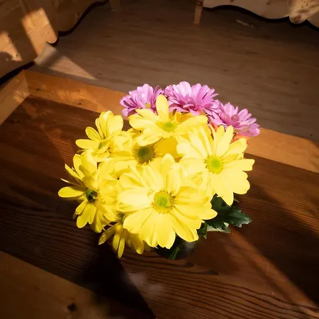 Crusch Alba Auf Der Strassenseite Sta Maria Sta Maria Val Mustair